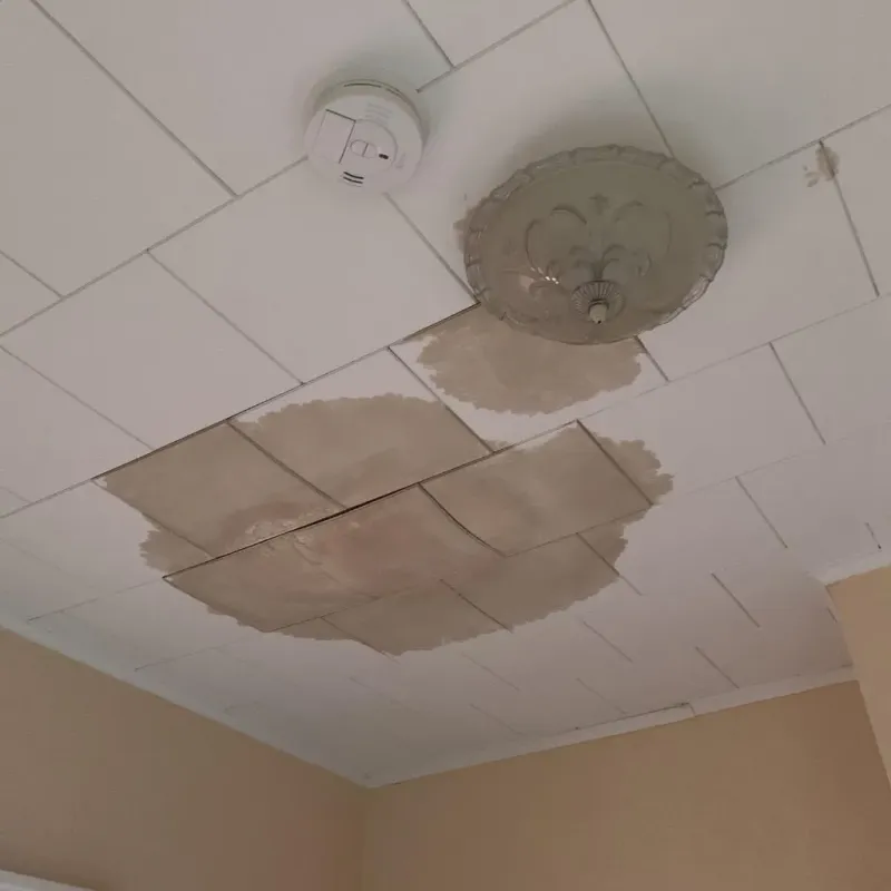 Ceiling Water Damage Repair in East Brooklyn, CT