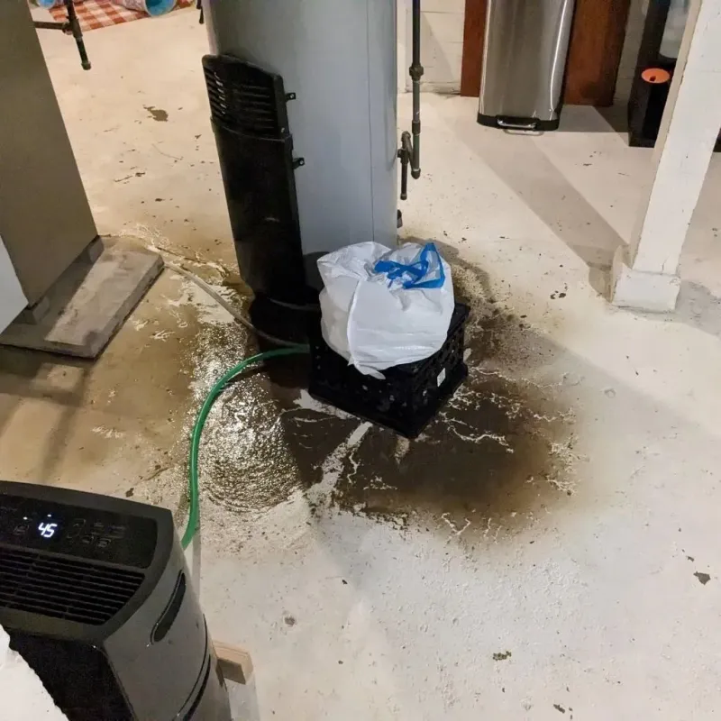Sewage Backup Cleanup Service in East Brooklyn, CT